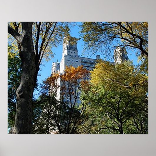 20" x 16", Value Poster Paper (Matte) (Vorne)