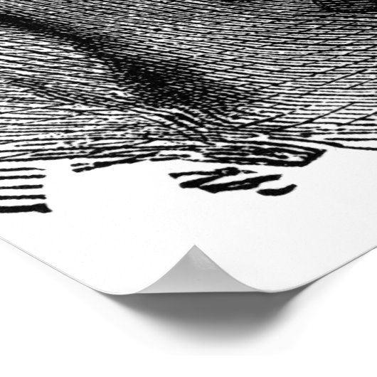 20" x 16", Value Poster Paper (Matte) (Ecke)