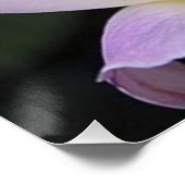 20 x 20 Poster (Ecke)