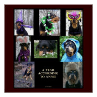 20 x 20" Poster "A Year By Annie"