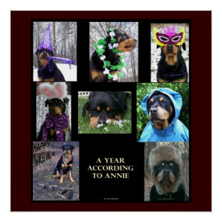 20 x 20" Poster "A Year By Annie"