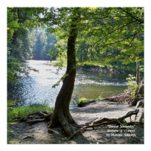 20" x 20", Poster (Semi-Glanz)