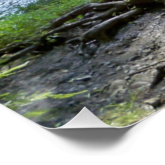 20" x 20", Poster (Semi-Glanz) (Ecke)