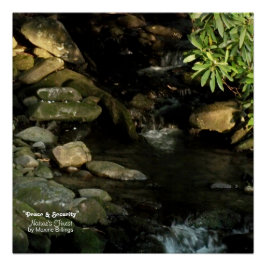 20" x 20", Poster (Semi-Glanz)