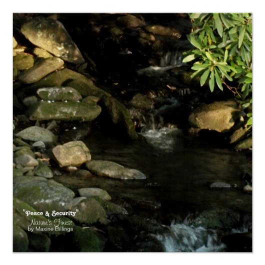 20" x 20", Poster (Semi-Glanz) (Vorderseite)