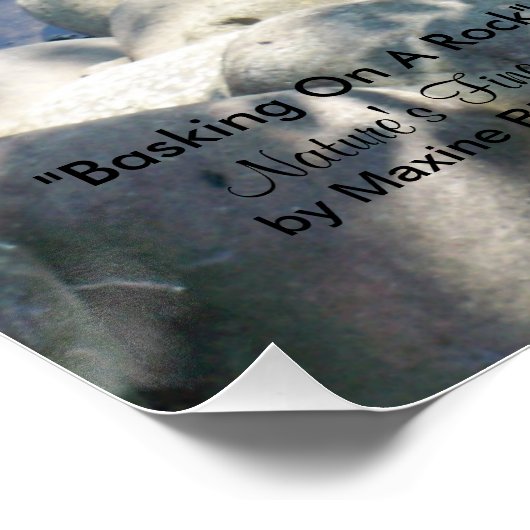 20" x 20", Poster (Semi-Glanz) (Ecke)