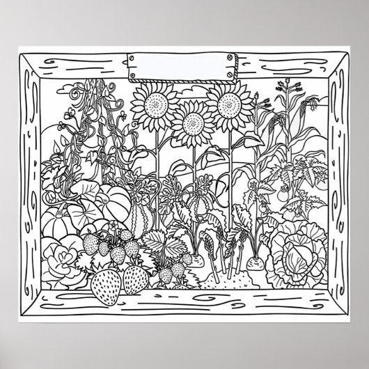 20 x 24 Farbplakat 1 Poster (Vorne)