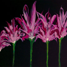 20 Zoll x 20 Zoll Kopfkissen