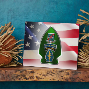 20th Special Forces Group (AIRBORNE) Fotoplatte