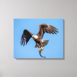 20x16 Adler mit Fisch Leinwanddruck