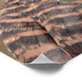 20x16 amerikanisches Kestrel Poster (Ecke)