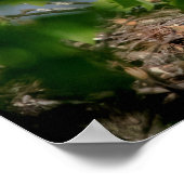 20x16 Bald-Adler verlassend Nest Poster (Ecke)