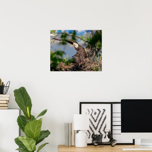 20x16 Bald-Adler verlassend Nest Poster (Heimbüro)