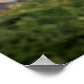 20x16 Bald-Adler vorbei an Fort Ticontempora Poster (Ecke)