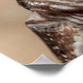 20x16 Barrierenschüssel Poster (Ecke)