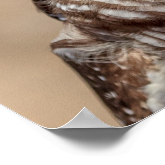 20x16 Barrierenschüssel Poster (Ecke)