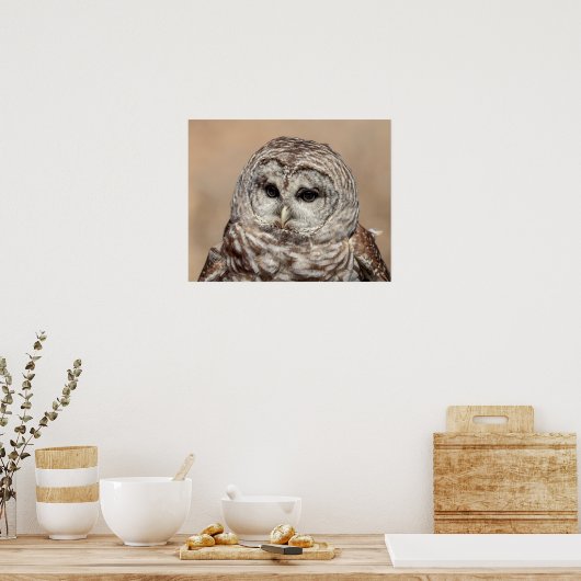 20x16 Barrierenschüssel Poster (Küche)