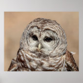 20x16 Barrierenschüssel Poster (Vorne)