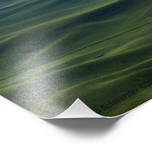 20X16 Die sanften Rollen von Palouse Hills Fotodruck (Ecke)