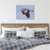 20x16 Great Blue Heron im Flug Leinwanddruck (Insitu (Schlafzimmer))