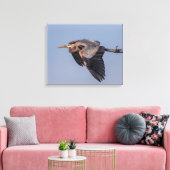 20x16 Great Blue Heron im Flug Leinwanddruck (Insitu (Wohnzimmer))