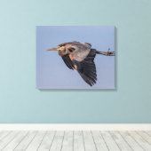 20x16 Great Blue Heron im Flug Leinwanddruck (Insitu (Holzboden))