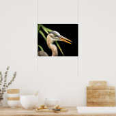 20x16 Great Blue Heron Poster (Küche)