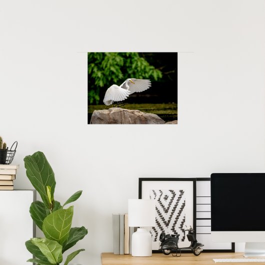 20x16 Großer Egret Poster (Heimbüro)