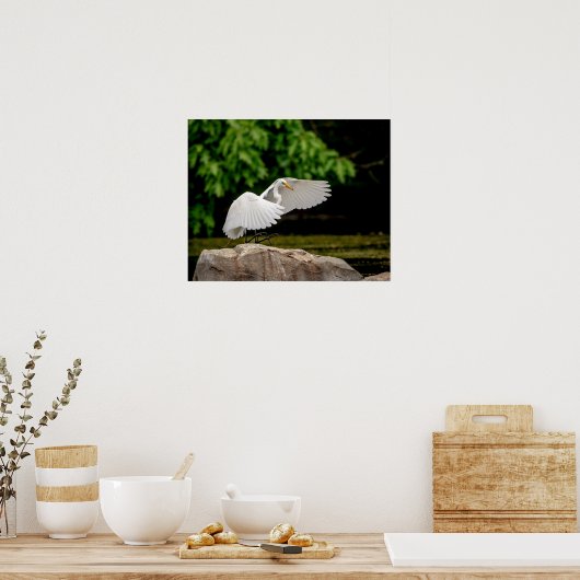 20x16 Großer Egret Poster (Küche)