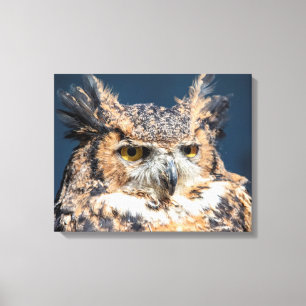 20x16 Großes Horned Owl Portrait Leinwanddruck