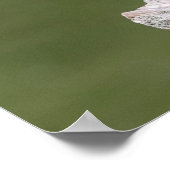 20x16 Grüner Heron auf einem Protokoll Poster (Ecke)