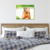 20x16 Junge Groundhog Leinwanddruck (Insitu (Schlafzimmer))