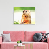 20x16 Junge Groundhog Leinwanddruck (Insitu (Wohnzimmer))
