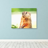 20x16 Junge Groundhog Leinwanddruck (Insitu (Holzboden))