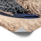20x16 Kanada Gans Poster (Ecke)
