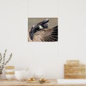 20x16 Kanada Gans Poster (Küche)