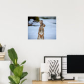 20x16 Kaninchen im Schnee Poster (Heimbüro)