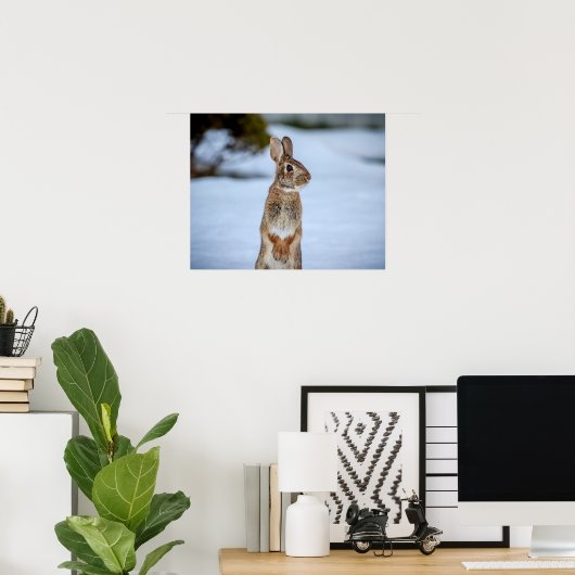 20x16 Kaninchen im Schnee Poster (Heimbüro)