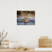 20x16 Mallard Duck im Downing Park Poster (Küche)