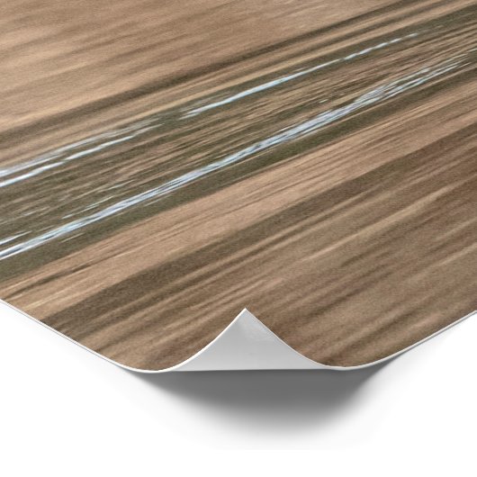 20x16 Mallard Duck im Flug Poster (Ecke)