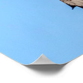 20x16 Northern Harrier Poster (Ecke)