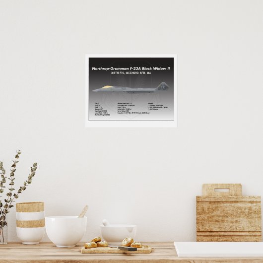20x16 Northrop F-23A Black Widow II Poster (Küche)