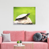 20x16 Painted Turtle on a log Leinwanddruck (Insitu (Wohnzimmer))