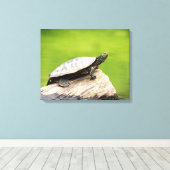 20x16 Painted Turtle on a log Leinwanddruck (Insitu (Holzboden))