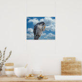 20x16 Peregrine Falcon entlang des Hudson River Poster (Küche)