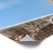 20x16 Pferdeportrait Poster (Ecke)