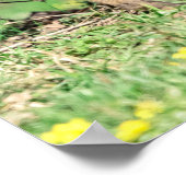 20x16 Red Fox Kits spielen Poster (Ecke)