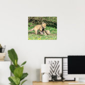 20x16 Red Fox Kits spielen Poster (Heimbüro)