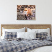 20x16 Red Fox nah und persönlich Leinwanddruck (Insitu (Schlafzimmer))