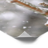 20x16 Rotbauchspecht im Schnee Poster (Ecke)